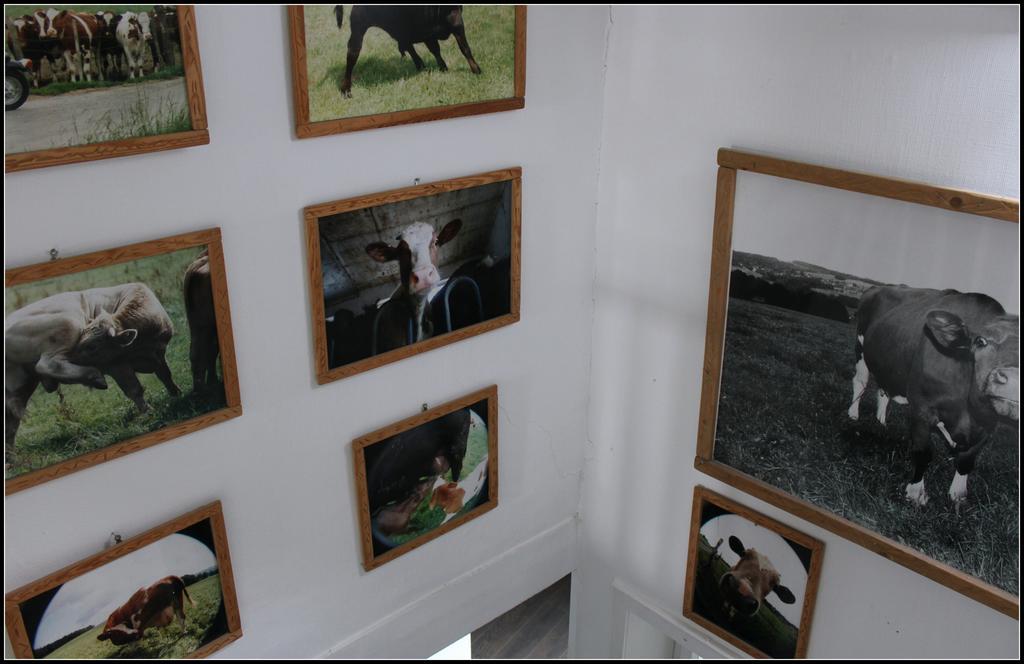 Hotel Artfarm Wiehl Buitenkant foto